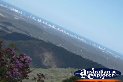 Views from Tamborine Mountain Lookout - Gold Coast Hinterland . . . VIEW ALL TAMBORINE MOUNTAIN (LOOKOUT) PHOTOGRAPHS