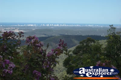 Tamborine Mountain Lookout - Gold Coast Hinterland . . . CLICK TO VIEW ALL TAMBORINE MOUNTAIN (LOOKOUT) POSTCARDS