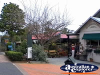 Tamborine Mountain Shops and Street . . . CLICK TO ENLARGE