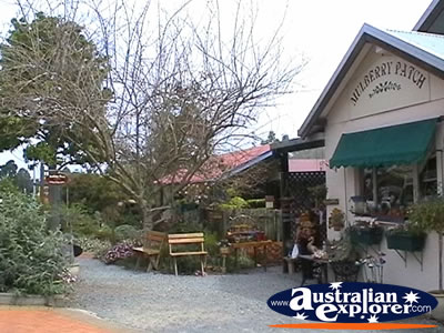 Tamborine Mountain Cute Shops . . . VIEW ALL TAMBORINE MOUNTAIN PHOTOGRAPHS
