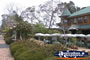 Tamborine Mountain Shops