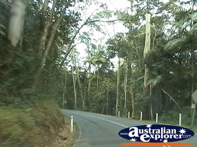 The Drive Up Tamborine Mountain . . . VIEW ALL TAMBORINE MOUNTAIN PHOTOGRAPHS