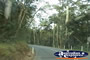 Tamborine Mountain Street . . . CLICK TO ENLARGE