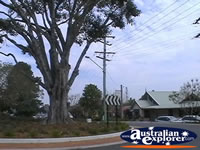 Tamborine Mountain Street and Roundabout . . . CLICK TO ENLARGE