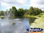 Pond on the Tamborine Mountain Winery Grounds . . . CLICK TO ENLARGE
