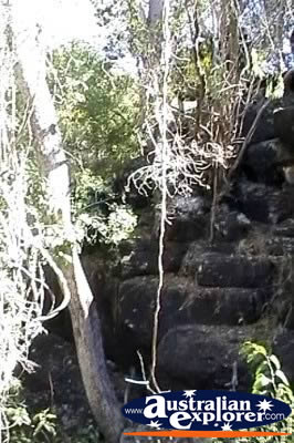 Undara Lava Tubes . . . VIEW ALL UNDARA LAVA TUBES (MORE) PHOTOGRAPHS