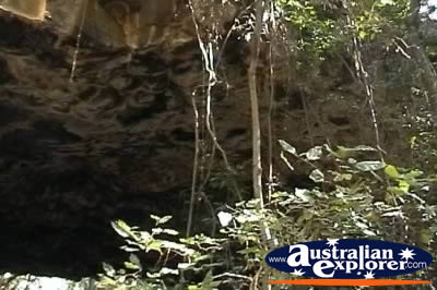 Undara Lava Tubes in Forest . . . VIEW ALL UNDARA LAVA TUBES (MORE) PHOTOGRAPHS