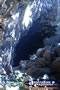 Undara Lava Tubes . . . CLICK TO ENLARGE