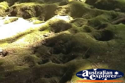 Undara Lava Tubes . . . VIEW ALL UNDARA LAVA TUBES PHOTOGRAPHS