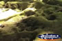 Undara Lava Tubes . . . CLICK TO ENLARGE