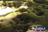 Undara Lava Tubes Footprints . . . CLICK TO ENLARGE