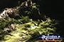 Undara Lava Tubes . . . CLICK TO ENLARGE