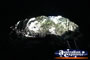 Undara Lava Tubes . . . CLICK TO ENLARGE