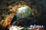 Undara Lava Tubes . . . CLICK TO ENLARGE