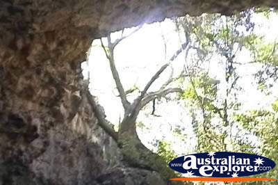 Undara Lava Tubes . . . VIEW ALL UNDARA LAVA TUBES (MORE) PHOTOGRAPHS