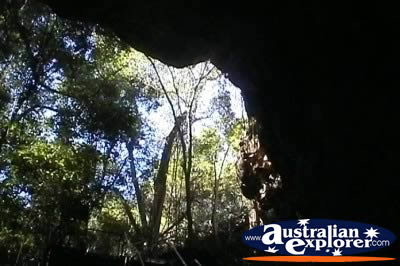 Undara Lava Tubes . . . CLICK TO VIEW ALL UNDARA LAVA TUBES POSTCARDS