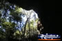 Undara Lava Tubes . . . CLICK TO ENLARGE