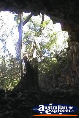 Undara Lava Tubes . . . CLICK TO VIEW ALL UNDARA LAVA TUBES (MORE) POSTCARDS