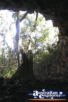 Queensland's Undara Lava Tubes . . . CLICK TO ENLARGE