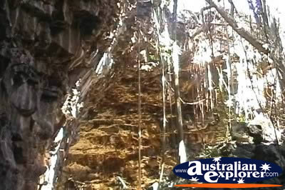 Undara Lava Tubes . . . CLICK TO VIEW ALL UNDARA LAVA TUBES POSTCARDS