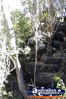 Undara Lava Tubes in QLD . . . CLICK TO ENLARGE