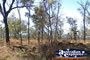 Undara Rainforest . . . CLICK TO ENLARGE