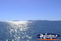 Whitsundays . . . CLICK TO ENLARGE