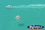 Parasailer in the Whitsundays . . . CLICK TO ENLARGE