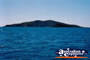 Whitsundays Hayman Island Landscape . . . CLICK TO ENLARGE