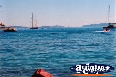 Whitsundays Hayman Island Blue Pearl Bay . . . VIEW ALL HAYMAN ISLAND PHOTOGRAPHS