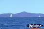 Whitsundays Whitsunday Island . . . CLICK TO ENLARGE