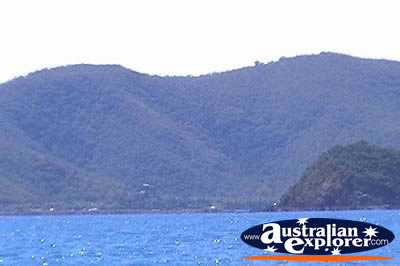 Whitsundays Whitsunday Island Landscape . . . VIEW ALL WHITSUNDAYS PHOTOGRAPHS