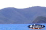 Whitsundays Whitsunday Island . . . CLICK TO ENLARGE