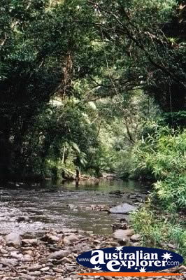 Creek in Wooboodda . . . CLICK TO VIEW ALL WOOBOODDA CREEK POSTCARDS