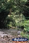 Creek in Wooboodda