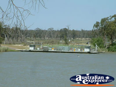 Waikerie Murray River Ferry . . . CLICK TO VIEW ALL WAIKERIE POSTCARDS