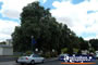Bordertown Council . . . CLICK TO ENLARGE