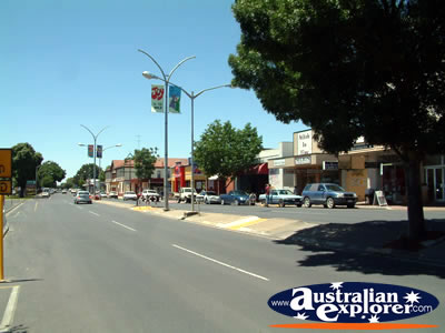 Naracoorte Street and Shops . . . CLICK TO VIEW ALL NARACOORTE POSTCARDS