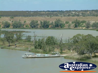 Ferry Just Outside Swan Reach . . . CLICK TO VIEW ALL SWAN REACH POSTCARDS