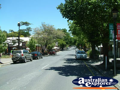 Hahndorf Street . . . CLICK TO VIEW ALL HAHNDORF POSTCARDS