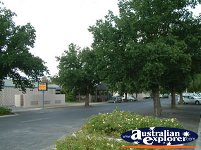 Keith Street . . . CLICK TO VIEW ALL KEITH POSTCARDS
