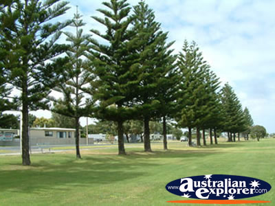 Kingston SE Beach Front Park . . . CLICK TO VIEW ALL KINGSTON SE POSTCARDS