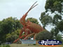 Kingston SE Big Lobster . . . CLICK TO ENLARGE