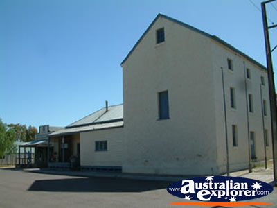 Naracoorte Sheeps Back Museum . . . CLICK TO VIEW ALL NARACOORTE POSTCARDS