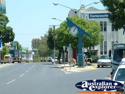 Naracoorte Street . . . CLICK TO VIEW ALL NARACOORTE POSTCARDS
