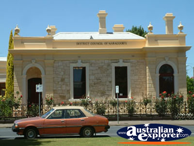 Naracoorte Council . . . CLICK TO VIEW ALL NARACOORTE POSTCARDS