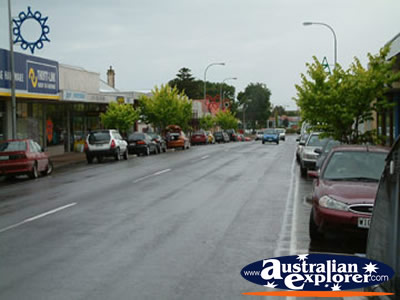Millicent Main Street . . . CLICK TO VIEW ALL MILLICENT POSTCARDS