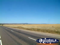 View of Road between Kyancutta & Kimba . . . CLICK TO ENLARGE
