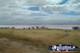 Bumbunga Lake near Lochie . . . CLICK TO ENLARGE
