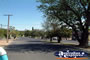 Waikerie Street . . . CLICK TO ENLARGE